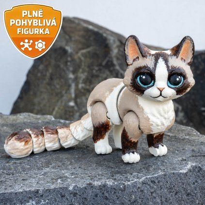 kočka11